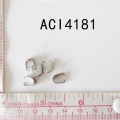 ACI4181