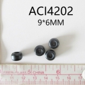 ACI4202