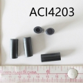 ACI4203