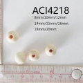 ACI4218
