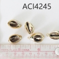ACI4245