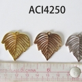ACI4250