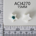 ACI4270