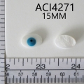 ACI4271