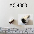ACI4300