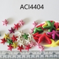 ACI4404