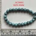 ACI4441