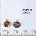 ACI4508