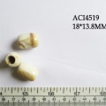 ACI4519