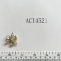 ACI4521-2