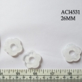 ACI4531