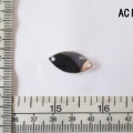 ACI4559