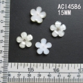 ACI4586