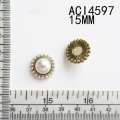 ACI4597