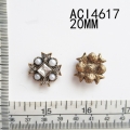 ACI4617