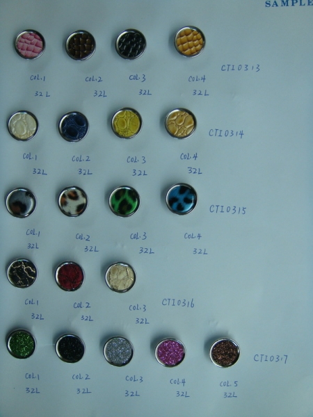 CTI0313-0317