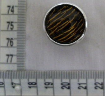 CTI0569