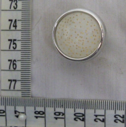 CTI0577