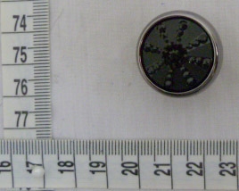 CTI0611