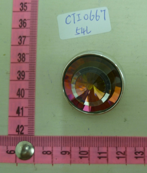 CTI0667