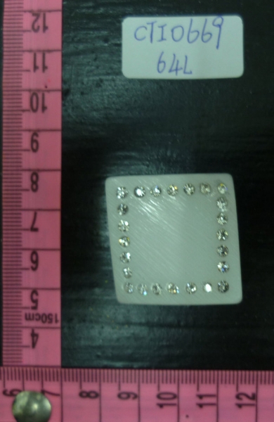 CTI0669
