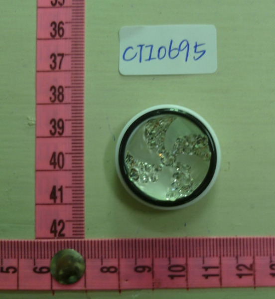 CTI0695