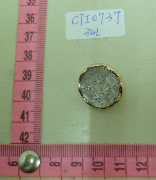 CTI0737