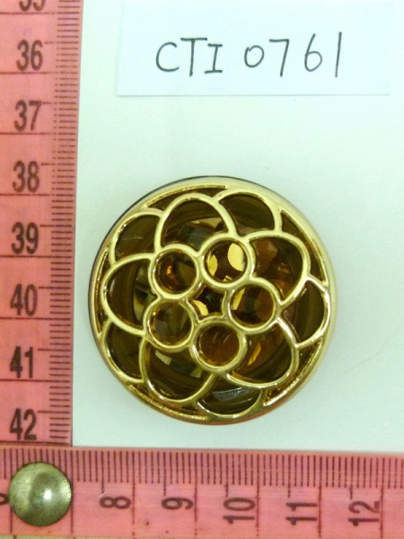 CTI0761