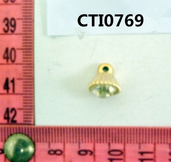 CTI0769