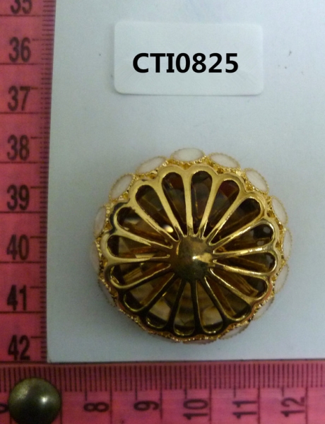 CTI0825