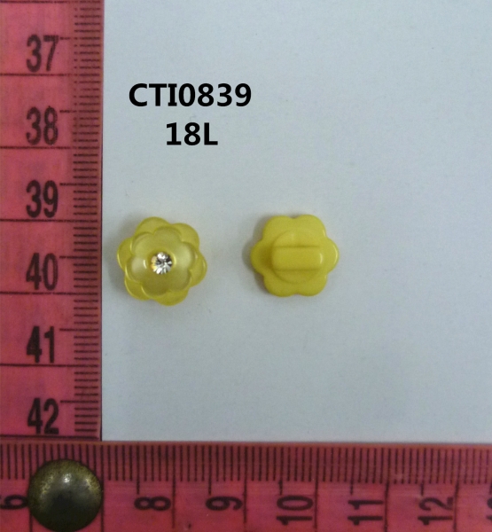 CTI0839