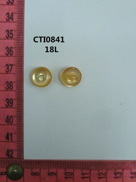 CTI0841