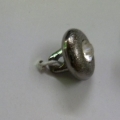 CTI0461
