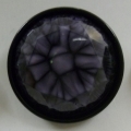 CTI0490