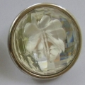 CTI0491