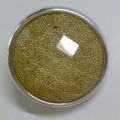 CTI0508