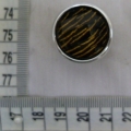 CTI0569