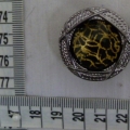 CTI0588