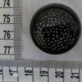 CTI0596