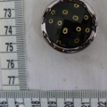 CTI0604
