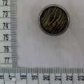 CTI0612