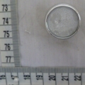 CTI0613