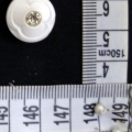 CTI0629