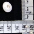 CTI0639