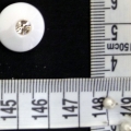 CTI0640