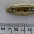 CTI0647