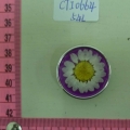 CTI0664