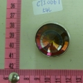 CTI0667