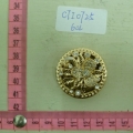 CTI0725