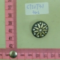 CTI0731